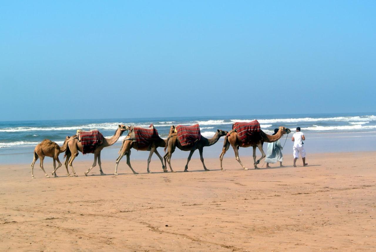 Dar El Malaika Riad El Jadida